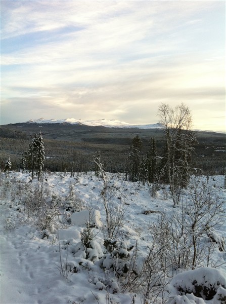 IMG_0085.JPG